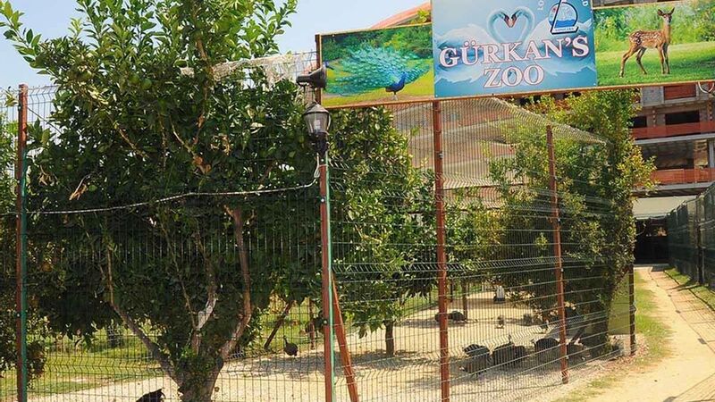 Lonicera World Hotel 